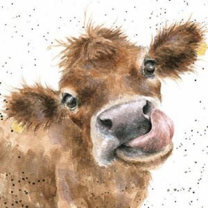 Wrendale designs card- Mooooo Cow (CS127)